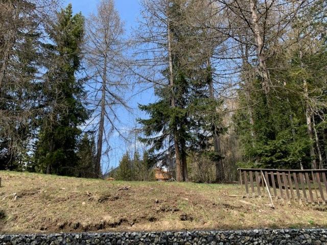 Cozy Central Apartment At A Special Price! Crans-Montana Exterior photo